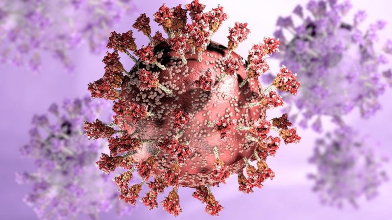 Estudio preliminar en Sudáfrica revela que la variante Ómicron aumenta el riesgo de reinfección por coronavirus