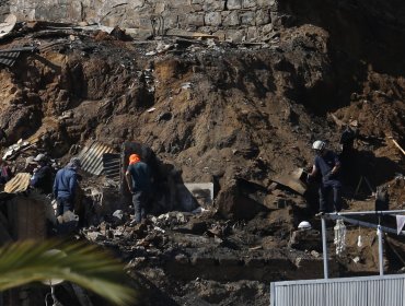 Personal del GOPE y Labocar se sumaron a la búsqueda de mujer extraviada tras incendio en cerro Monjas de Valparaíso