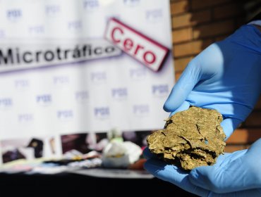 Más de 11 toneladas de marihuana y 16 kilos de cocaína ha incautado la PDI durante el 2021 en la región de Valparaíso