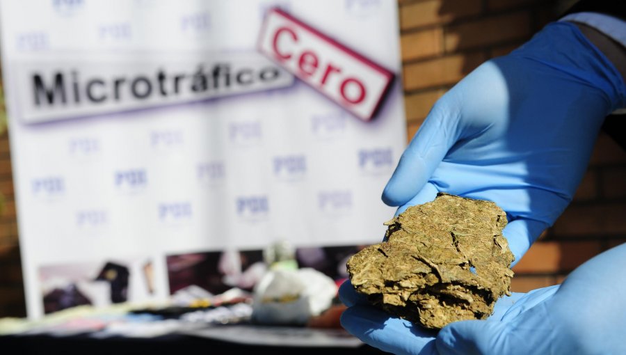 Más de 11 toneladas de marihuana y 16 kilos de cocaína ha incautado la PDI durante el 2021 en la región de Valparaíso