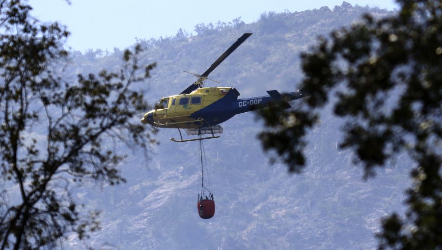 La Araucanía: Onemi decretó Alerta Roja por incendio forestal en Melipeuco