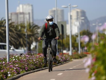 Plan Paso a Paso: 10 comunas bajan a Preparación y otras 7 avanzan de fase