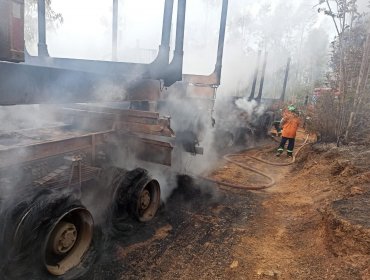 Encapuchados armados quemaron cinco vehículos tras golpear a trabajadores en Lumaco