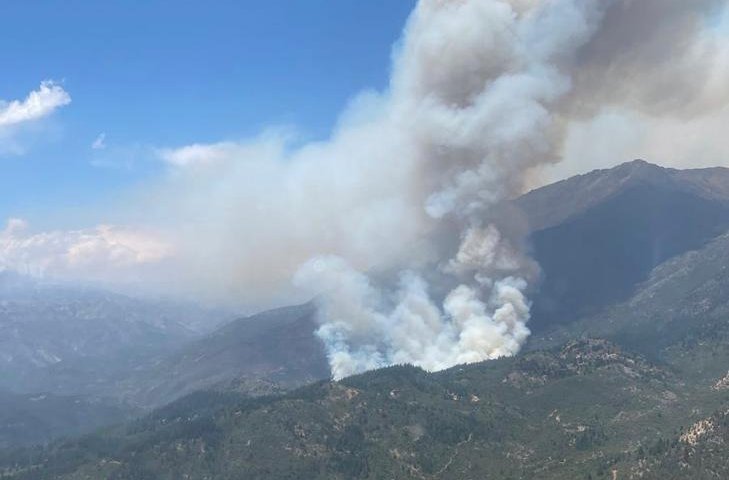 Declaran Alerta Roja para la comuna de San Fernando por incendio forestal que amenaza a viviendas