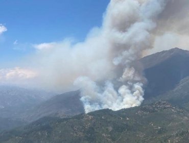 Declaran Alerta Roja para la comuna de San Fernando por incendio forestal que amenaza a viviendas