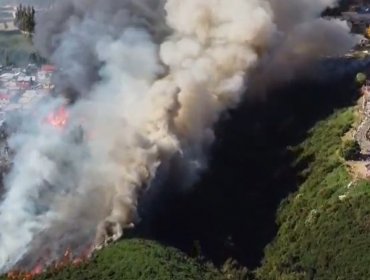 Decretan Alerta Roja en Castro por incendio forestal: emergencia obliga a la evacuación de la población Camilo Henríquez