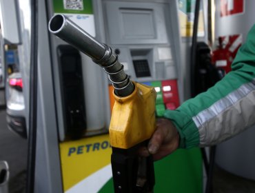Precios de la gasolina de 97 octanos y del gas licuado de uso vehicular reportaron una baja
