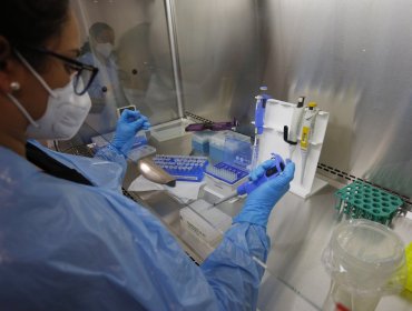 Confirman tres casos de la variante Ómicron en Chile: cuatro personas esperan el resultado de la secuenciación genómica