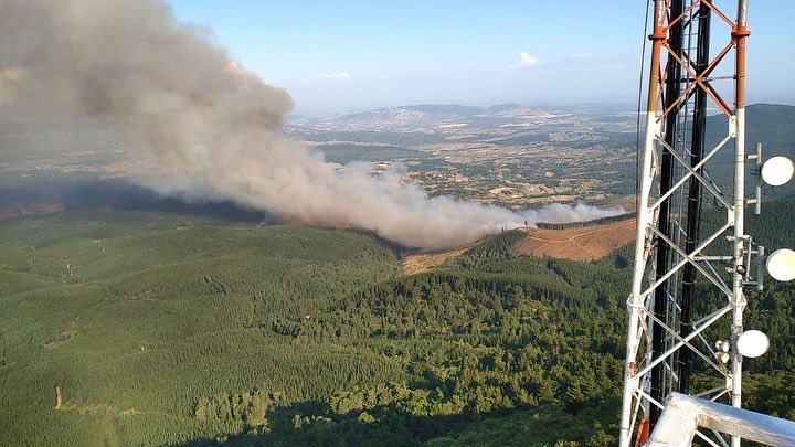 Incendio forestal consume más de 160 hectáreas en Ninhue: siniestro se mantiene cercano a sectores habitados