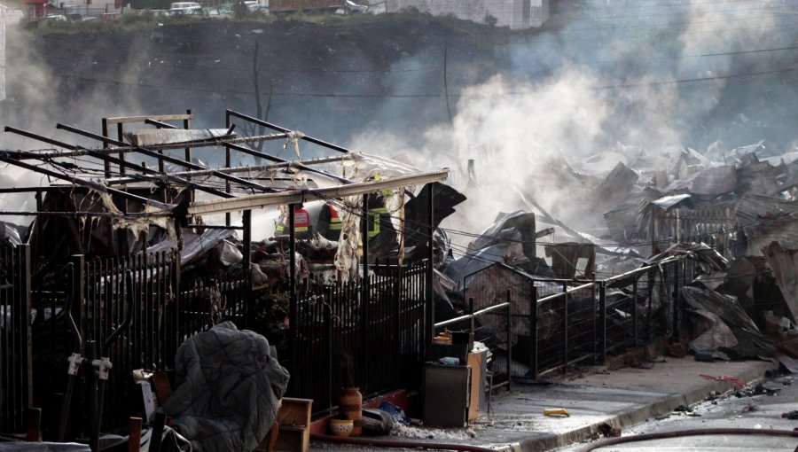 140 casas quemadas, 200 damnificados y 15 heridos deja voraz incendio forestal en Castro