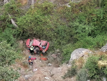 Automóvil desbarranca y cae unos 20 metros desde la ruta Las Palmas de Viña del Mar: conductora resulta prácticamente ilesa
