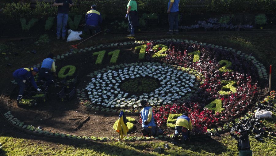 El drama de las personas mayores desvinculadas del Municipio de Viña: trabajadores de hasta 82 años piden a Ripamonti que revierta decisión