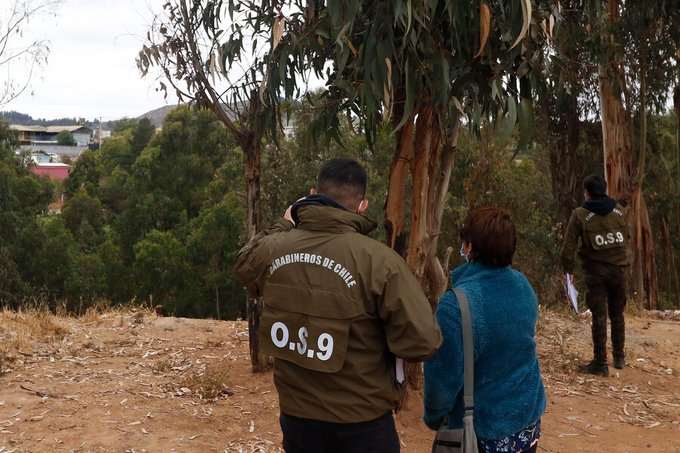 Reñaca: En una quebrada abandonan a una mujer y la amarran con alambres de púas