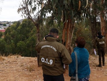 Reñaca: En una quebrada abandonan a una mujer y la amarran con alambres de púas