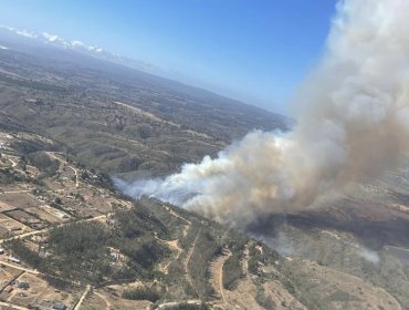 127 hectáreas ha consumido el incendio forestal en Algarrobo: siniestro presenta focos discontinuos de baja intensidad