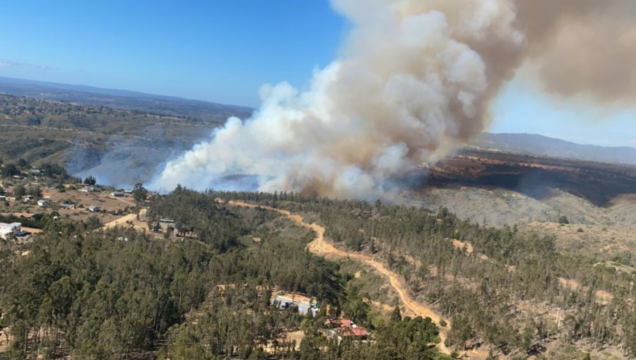 Incendio forestal afecta a sector de Algarrobo: decretan Alerta Roja por amenaza a viviendas.
