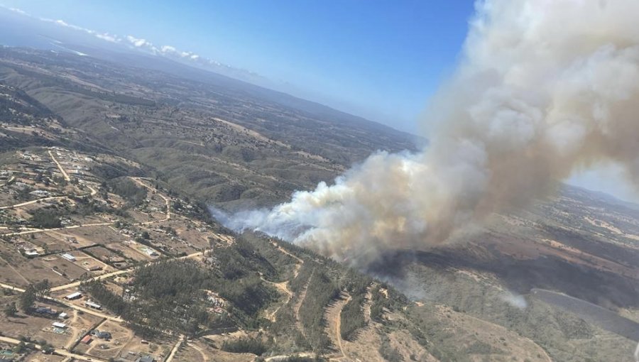 127 hectáreas ha consumido el incendio forestal en Algarrobo: siniestro presenta focos discontinuos de baja intensidad