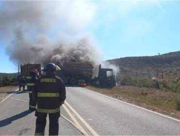 Ataque incendiario deja un camión y al menos siete máquinas forestales quemadas en Curanilahue