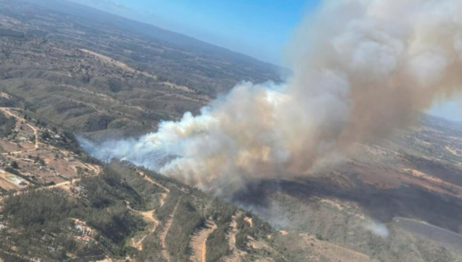 Incendio forestal en Algarrobo fue controlado y cancelan Alerta Roja en la comuna: 89 hectáreas consumidas