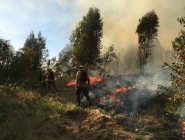 Presentan plan de protección contra incendios forestales a dirigentes vecinales de Olmué