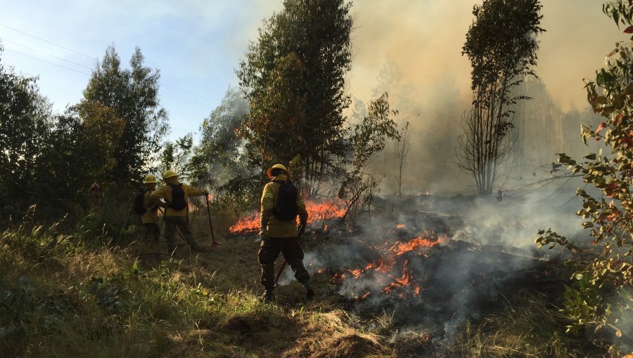 Presentan plan de protección contra incendios forestales a dirigentes vecinales de Olmué