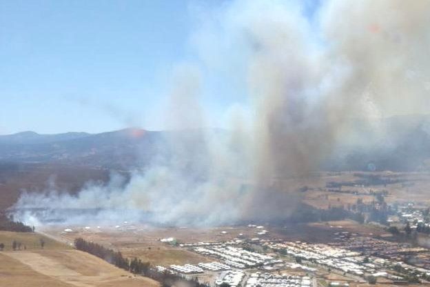 Incendio en Los Sauces consume más de 30 hectáreas: se cancela la Alerta Roja y decretan Alerta Amarilla