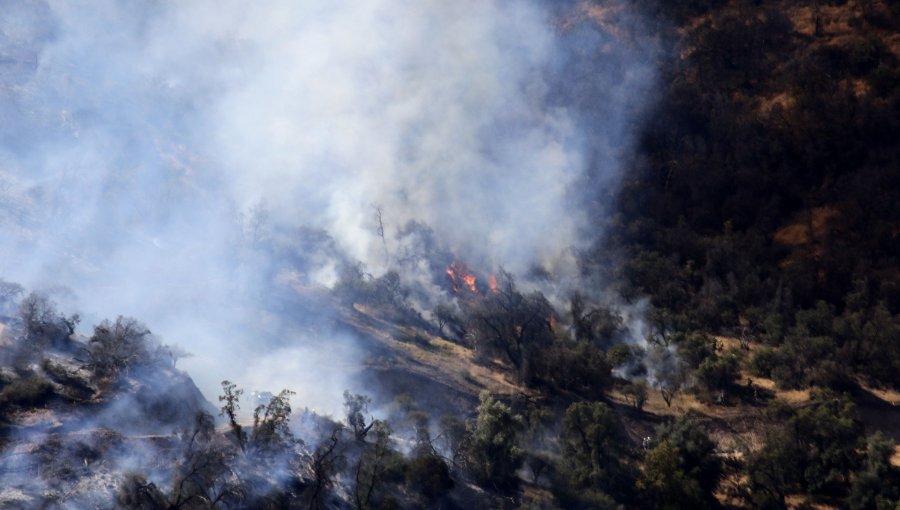 Decretan Alerta Roja por incendio forestal que amenaza a viviendas en Arauco