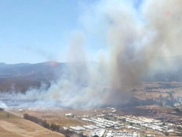 Incendio en Los Sauces consume más de 30 hectáreas: se cancela la Alerta Roja y decretan Alerta Amarilla