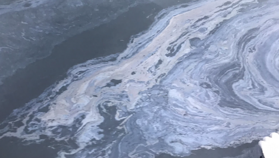 Mancha de combustible derramado en la bahía de Quintero se extendería hasta por 5 kms: filtración habría sido provocada por cañería rota