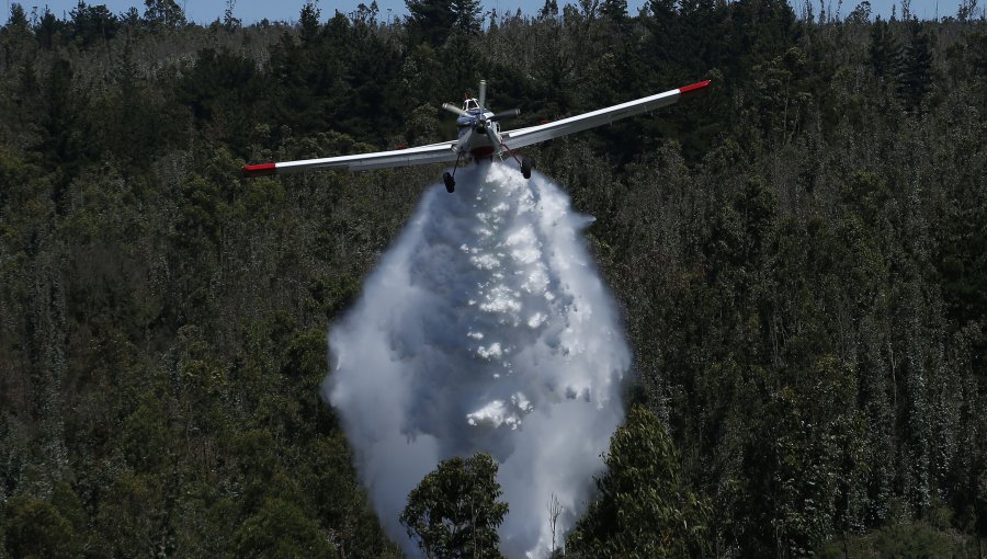 Avión que combatía incendio forestal en Contulmo fue blanco de disparos: piloto aterrizó de emergencia