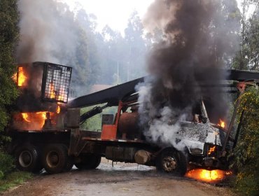 Resistencia Mapuche Lavkenche se adjudicó ataques incendiarios en Contulmo y otras tres localidades