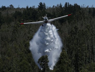 Avión que combatía incendio forestal en Contulmo fue blanco de disparos: piloto aterrizó de emergencia