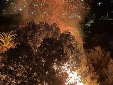 Incendio forestal en Villa Alemana estuvo cerca de propagarse a una zona residencial