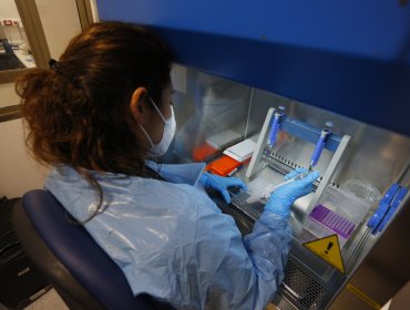 Confirman el primer caso de la variante Ómicron en Iquique: ingresó a Chile con un examen PCR negativo