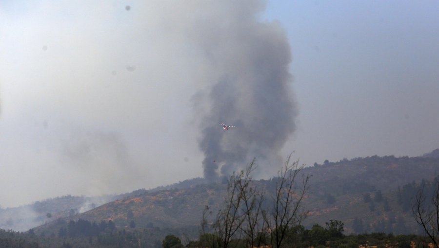 Puerto Montt: Onemi solicitó evacuar sector La Vara por incendio forestal