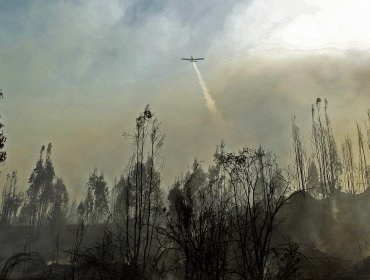 Actualización: Intensos incendios forestales azotan el centro sur del país