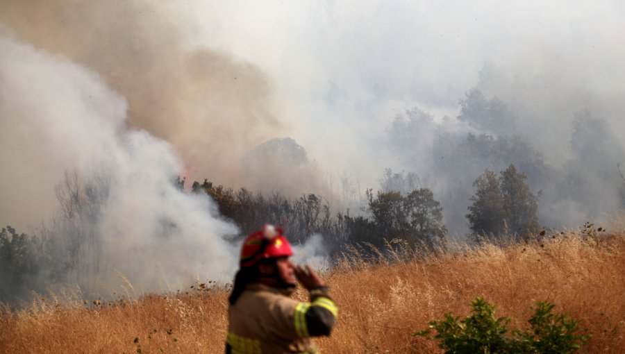 Incendio en Quillón: Onemi ya ha ordenado evacuar cuatro sectores poblados