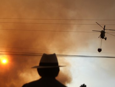 De los 78 incendios forestales a nivel nacional, 21 se encuentran activos: el de Angol ha consumido 9.000 hectáreas