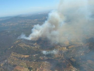 Onemi solicitó evacuar el sector Coyanco de la comuna de Quillón por incendio forestal