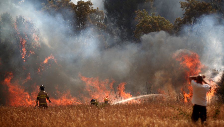 2.100 hectáreas ha consumido el incendio forestal en Quillón: cinco viviendas quemadas y dos bomberos lesionados