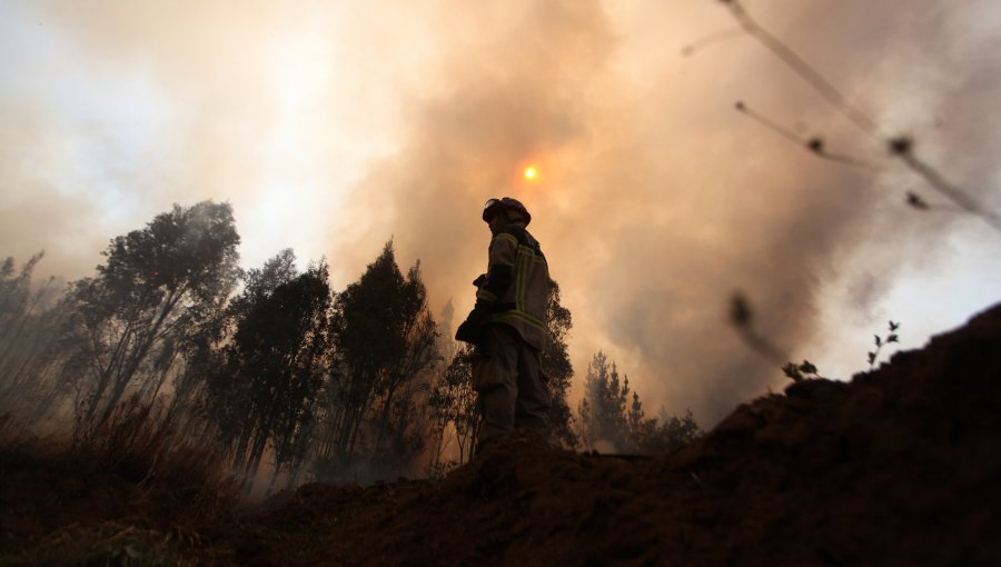 26 de los 79 incendios forestales a nivel país se mantienen activos: los de Angol y Quillón son los de mayor magnitud