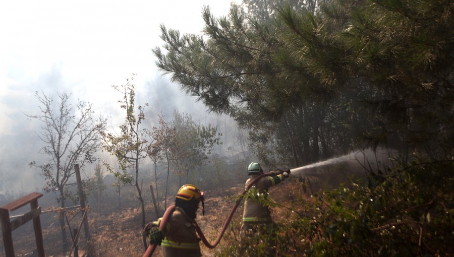 20 incendios forestales se mantienen activos en el país: el de Quillón ha consumido 2.100 hectáreas y destruido cinco viviendas