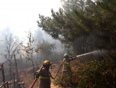 20 incendios forestales se mantienen activos en el país: el de Quillón ha consumido 2.100 hectáreas y destruido cinco viviendas