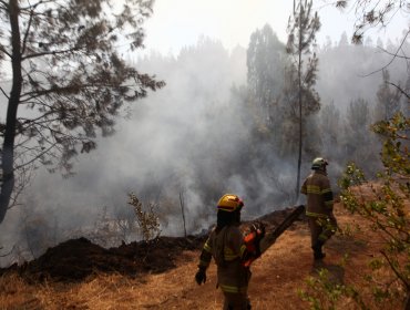 Decretan Zona de Emergencia Agrícola en Quillón por incendios forestales que han consumido más de 2 mil hectáreas