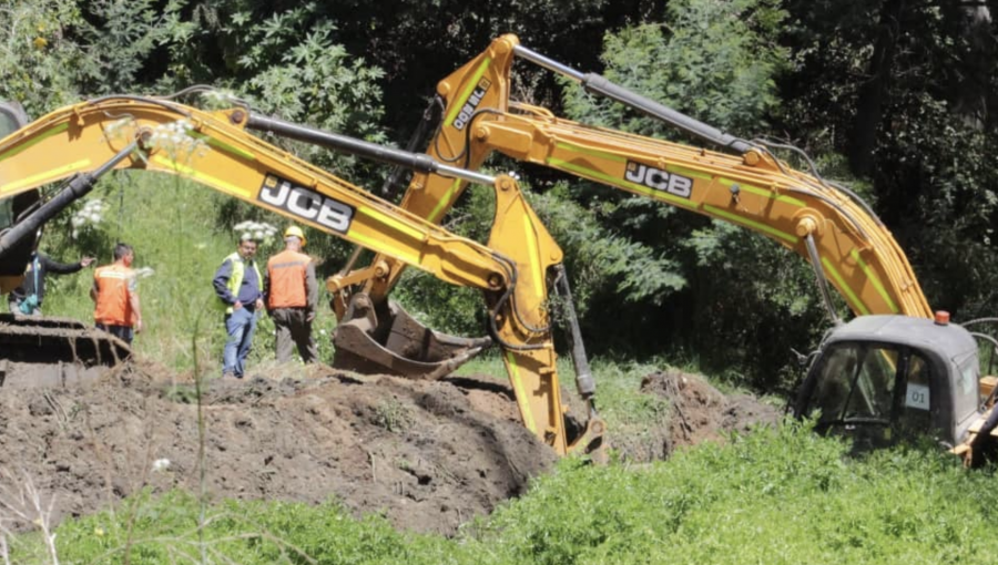 Daños en humedal de la Quinta Vergara: Ripamonti acusa "intervención no coordinada" y DOH reconoce "falta de prolijidad" en obras