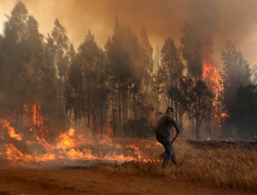 Onemi reporta que 18 de los 50 incendios forestales a nivel nacional se encuentra activos