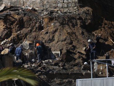 Encuentran cuerpo de adulta mayor desaparecida tras incendio que afectó al cerro Monjas de Valparaíso