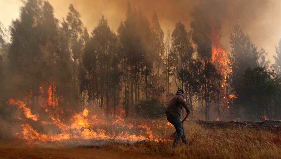 Onemi reporta que 18 de los 50 incendios forestales a nivel nacional se encuentra activos