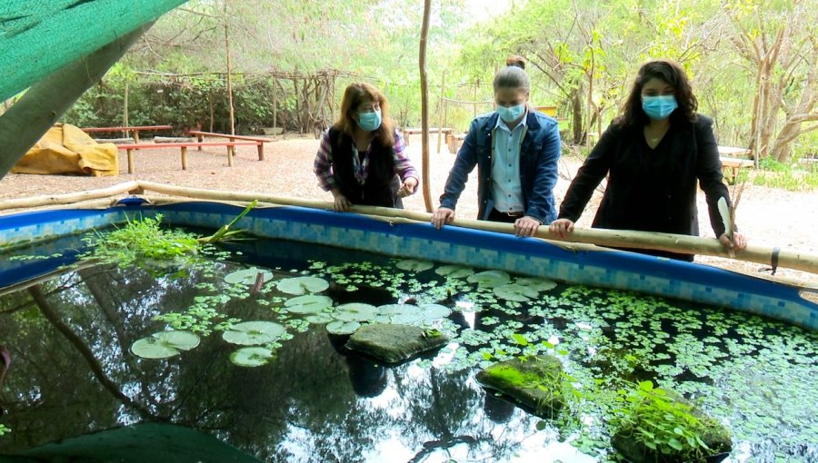 Municipio de Villa Alemana firma convenio para suministrar agua al Parque Ecoreserva