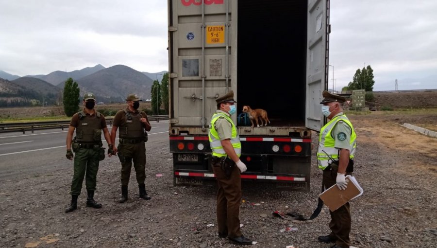 Descubren al interior del contenedor de un camión a 10 extranjeros indocumentados en La Calera: conductor fue detenido por tráfico de migrantes